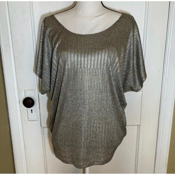 Pretty Silver Metallic Kim & Cami Short Sleeve Scoop Neck Blouse Size Large - Picture 1 of 10